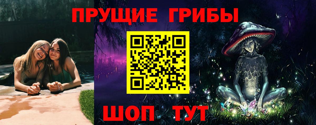 Кострома  Псилоцибиновые грибы ЛСД  где найти   Галлюциногенные грибы Psilocybe  Вход с VPN 