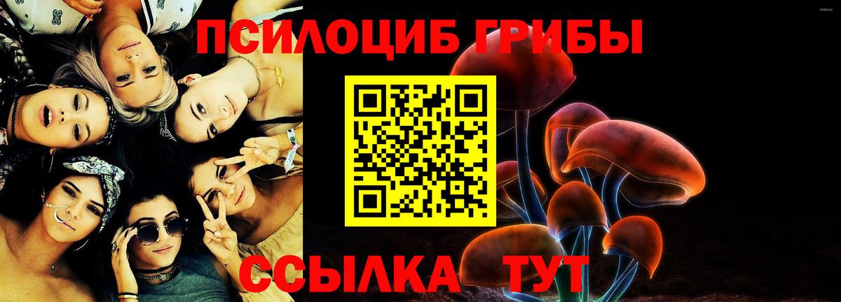 Псилоцибиновые грибы GOLDEN TEACHER Кострома